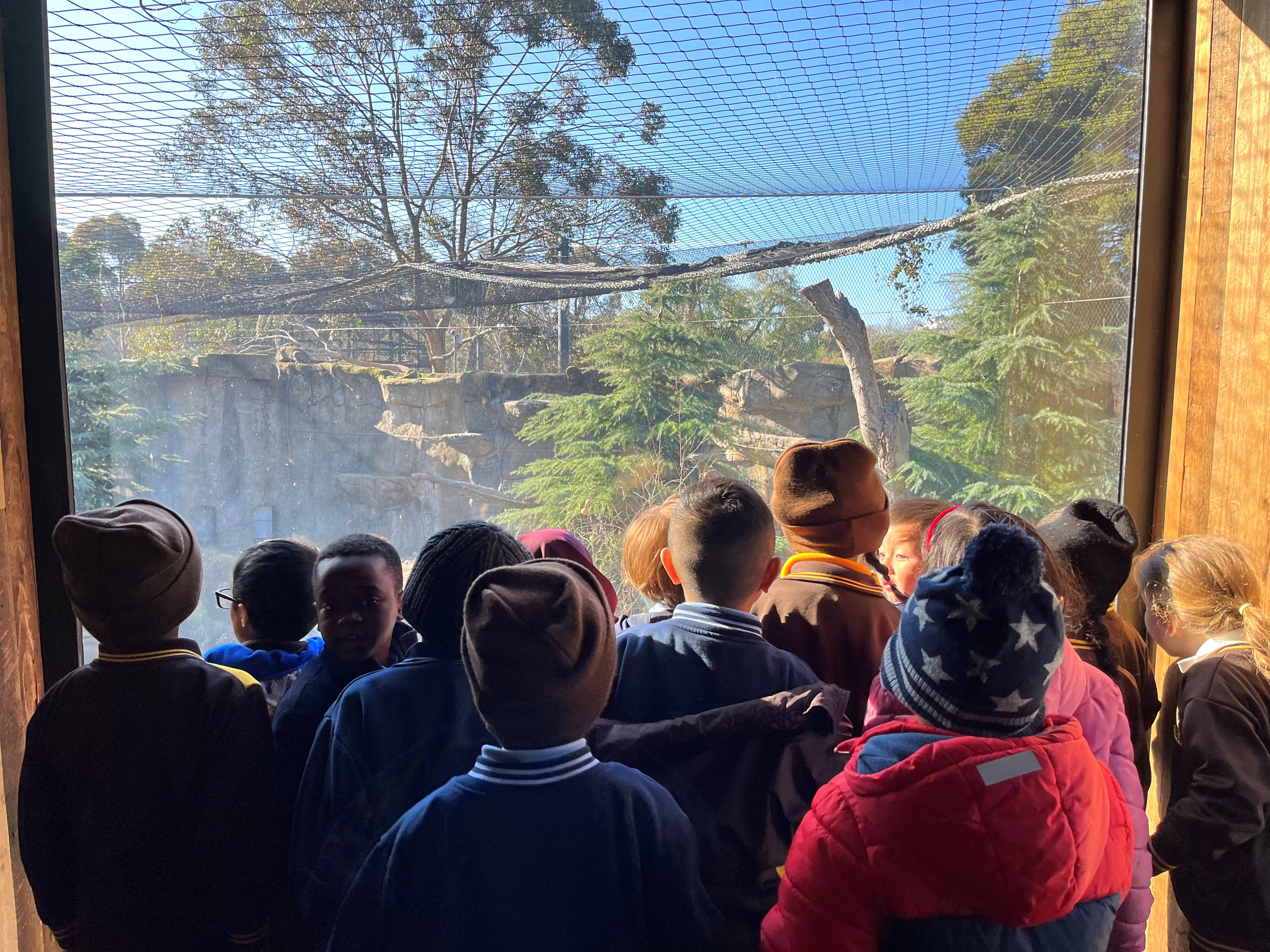 /uploaded_files/media/gallery/1659498583zoo 29.jpg